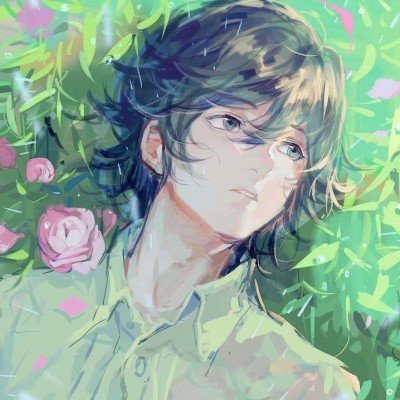 公司倒闭5只猫被法拍